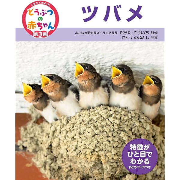 ツバメ (鳥の一年シリーズ) | ミュラー トーマス, ミュラー トーマス